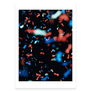 Fragile Beauty exhibition postcard pack