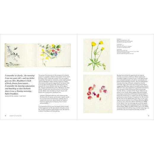 Beatrix Potter: Drawn to Nature - exhibition book