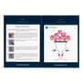 Schiaparelli: Fashion Becomes Art  embroidery kit