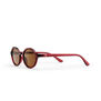 Burgundy sunglasses