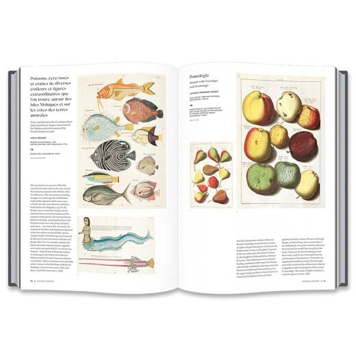 The Art of the Illustrated Book