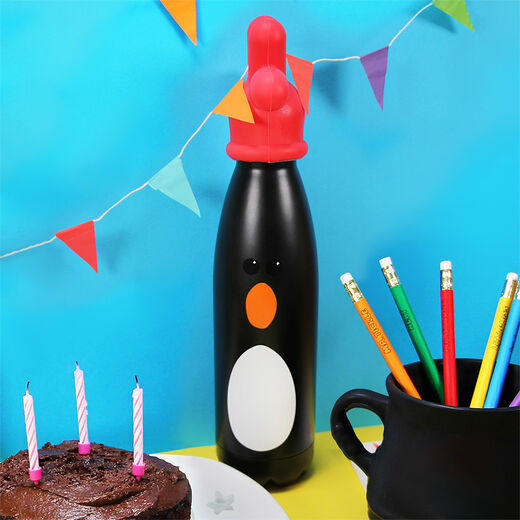 Feathers McGraw insulated water bottle