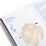 Textilepedia
