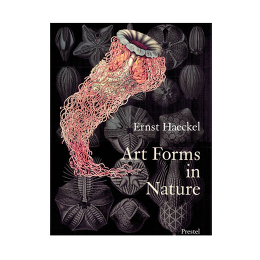 Art Forms in Nature