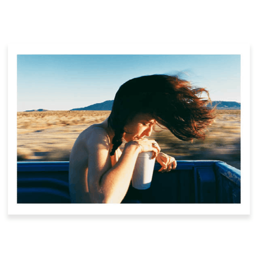 Fragile Beauty exhibition postcard pack