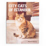 City Cats of Istanbul