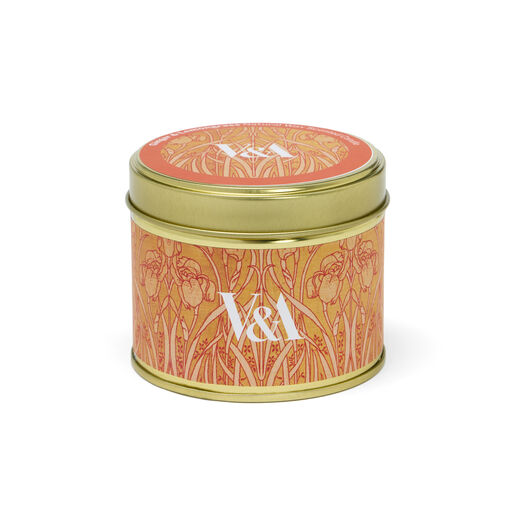 Lemongrass & ginger natural tin candle