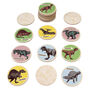 Dinosaur memory game