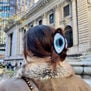 Evil eye hair claw