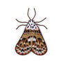 Embroidered moth brooch in earthy tones with glass and crystal bead accents.