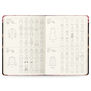 Schiaparelli: Fashion Becomes Art A4 fashionary sketchbook