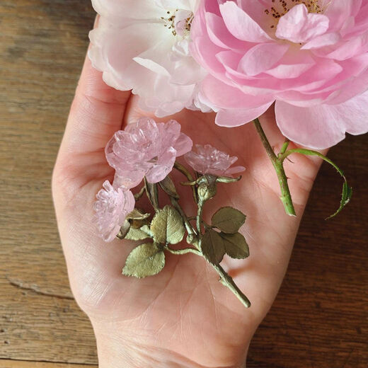 Blushing rose brooch by Michael Michaud