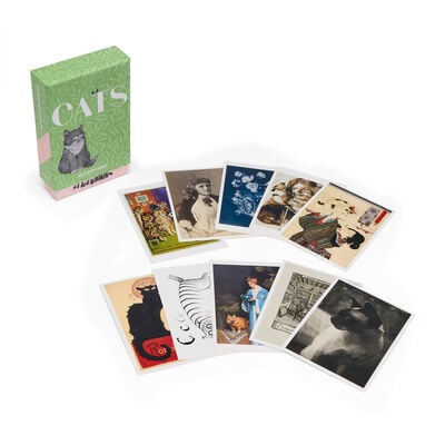 Cats box of 50 postcards