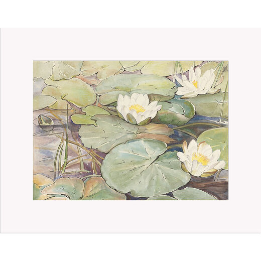 Waterlilies print by Beatrix Potter