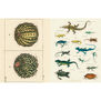 John Derian Sticker Book II