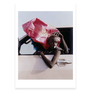 Fragile Beauty exhibition postcard pack