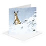 Hare in Snow Christmas cards (pack of 8)