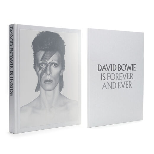 David Bowie Is exhibition book &ndash; New York edition​