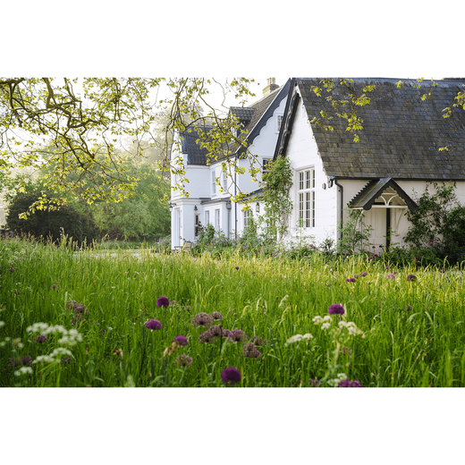 The New Romantic Garden