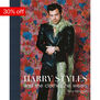 Harry Styles: and the clothes he wears
