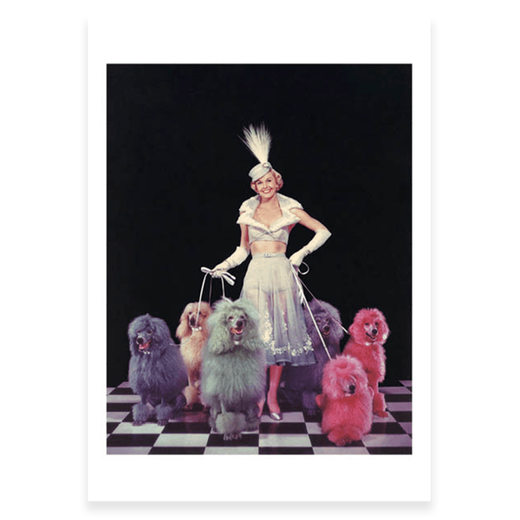 Fragile Beauty exhibition postcard pack