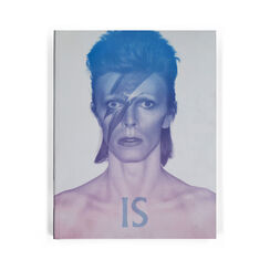 David Bowie Is &ndash; extended paperback edition exhibition book