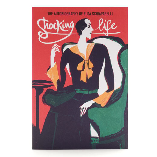 Fashion Autobiographies books set