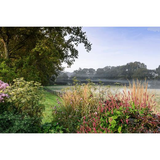 The New Romantic Garden