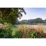 The New Romantic Garden
