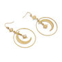 Moon and star hook earrings