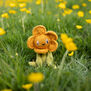 Buttercup crochet kit