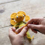 Buttercup crochet kit