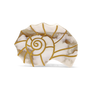 Fun conch shell cellulose acetate hair clip