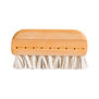Lint brush