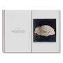 The Devouring Eye : Photography and the Mouth