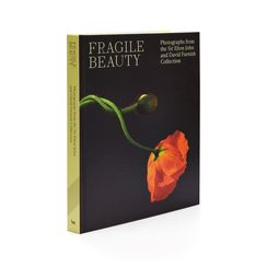 Fragile Beauty - exhibition book