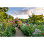 Gardens Illustrated: The New Beautiful