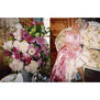 Sofia Coppola: Archive