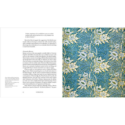 William Morris&rsquo;s flowers