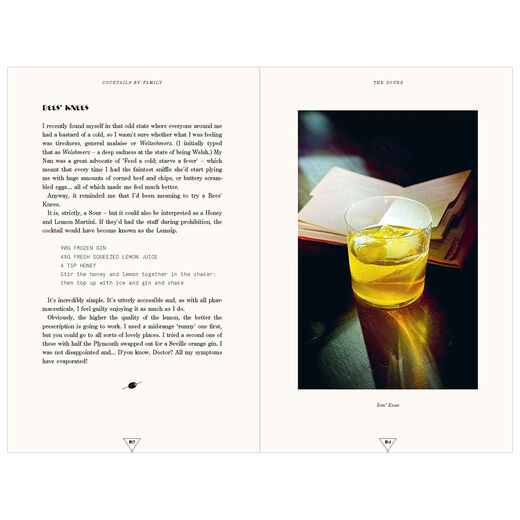 The Cocktail Hour : A Drinker's Companion