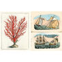 John Derian Sticker Book II
