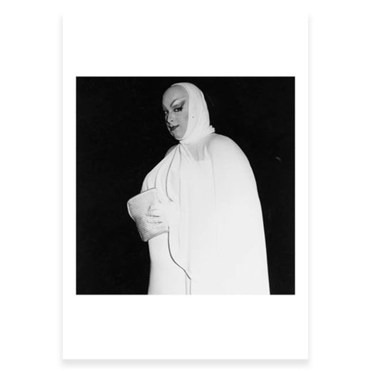 Fragile Beauty exhibition postcard pack