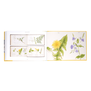 A book spread featuring a watercolour sketch of flowers and leaves.