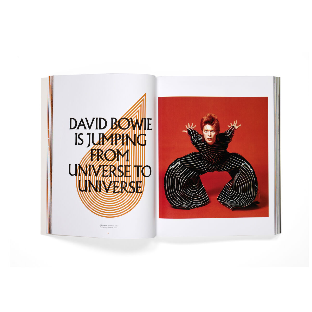 David Bowie Is – extended paperback edition exhibition book | V&A Shop