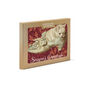 Victorian kitten in a shoe Christmas cards (pack of 8)