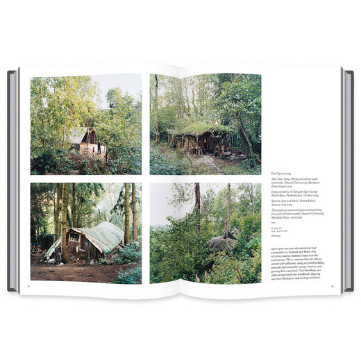Into the Woods: Trees in Photography