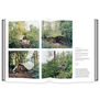 Into the Woods: Trees in Photography
