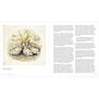 Beatrix Potter: Drawn to Nature - exhibition book