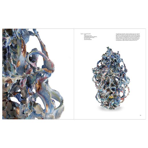 Contemporary Chinese Studio Crafts
