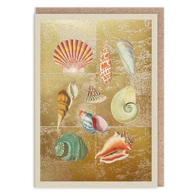 Ocean shells greeting card